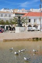 Old town buildings and seagulls, Lagos, Portugal. Royalty Free Stock Photo