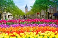 Old town of Delft in spring, Holland Royalty Free Stock Photo