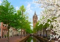 Old town of Delft in spring, Holland Royalty Free Stock Photo