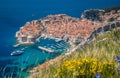 Old town of Dubrovnik in summer, Dalmatia, Croatia Royalty Free Stock Photo