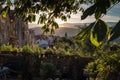 Sunrise inside a garden in Motovun in Croatia