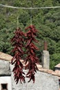 The old town of Orsomarso, Italy. Royalty Free Stock Photo