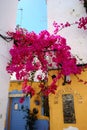 Old town restaurant with Bougainvillea, Marbella.