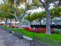 The old town at Torri del Benaco at Garda Lake in Italy Royalty Free Stock Photo