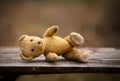 Old toy lying on a bench, child adoption, help, hope concept