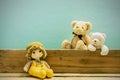 Old toy and Teddy bear on old wood in front green background . Royalty Free Stock Photo