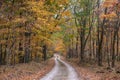 Old Trace section of the Natchez Trace Parkway road in Tennessee, USA during the fall season. This is one of two locations along Royalty Free Stock Photo