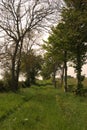 ancient track near Duns in Scottish Borders in summer Royalty Free Stock Photo