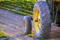 Old Tractor in Farm Field with Growing Crops Sunlight Royalty Free Stock Photo