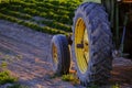 Old Tractor in Farm Field with Growing Crops Sunlight Royalty Free Stock Photo