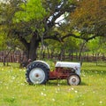 An old tractor in a field with flowers