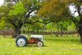 An old tractor in a field with flowers