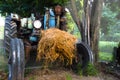 Old tractor near a tree not far from a corn field Royalty Free Stock Photo