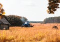 An old tractor plows a field in a village in the background a forest, an old ruined hut, a summer day, plowing a field