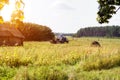 An old tractor plows a field in a village in the background a forest, an old ruined hut, a summer day, plowing a field