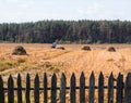 An old tractor plows a field in a village, haystacks and an old fence stand on the field, there is a forest on the Royalty Free Stock Photo