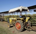 Old Tractor On Vineyard. Royalty Free Stock Photo