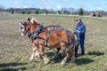 Old tractors and a team of working horses in training