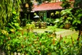 Old traditional ancient garden with bright vivid tropical garden color Royalty Free Stock Photo