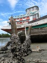 Old traditional colored thai fisherman boat at low tide with hull covered with shells Royalty Free Stock Photo