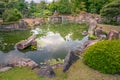 Old, traditional Japanese garden with precisely cut trees, small pond and stone bridges. Trees reflecting in water surface. Royalty Free Stock Photo