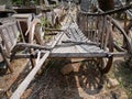 Old traditional ox cart in Thailand