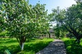 Old traditional Romanian house in a garden with trees in blooms in a sunny spring day in Targoviste city Royalty Free Stock Photo