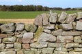 Old Traditional Scottish Stone Hedge Royalty Free Stock Photo