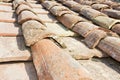 Old traditional tuscany terracotta roof covering Tuscany - Italy