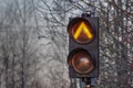 Old a traffic light for a tram with a permissive orange light for travel on a background of bare black tree branches and fog