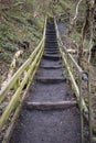 Old trail leads up wood and mud stairway with handrails through a forrest woodland