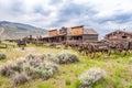 Old Trail Town in Cody - Wyoming Royalty Free Stock Photo