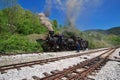 Old Train in Drvengrad, Serbia Royalty Free Stock Photo