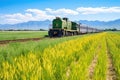 old train engine approaching vast grass fields Royalty Free Stock Photo