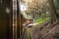 Old train on railway in Alishan National Scenic Area.