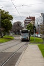The tram circulating in the center of Melbourne, public transport, Melbourne, Victoria, Australia