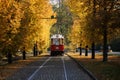 Old tram in Prague. Autumn tree Royalty Free Stock Photo