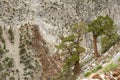 Old Tramway Tower Across Canyon Royalty Free Stock Photo