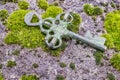 Old treasure key Royalty Free Stock Photo