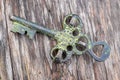 Old treasure key Royalty Free Stock Photo