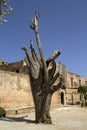 The Old Tree, Arkadi Monastery, Crete Royalty Free Stock Photo