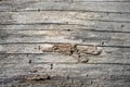 Old Tree Bark or Rhytidome Texture Detail Royalty Free Stock Photo