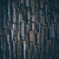 Old tree bark texture abstract background, natural pattern, rustic Royalty Free Stock Photo