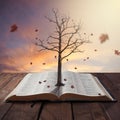 Old tree in Bible