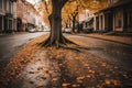 Old Tree With Broken Branches In Autumn On A Street With Some Water On The Ground Royalty Free Stock Photo