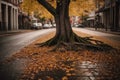 Old Tree With Broken Branches In Autumn On A Street With Some Water On The Ground Royalty Free Stock Photo
