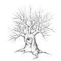 Old Tree with heart Royalty Free Stock Photo