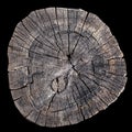 Old tree rings