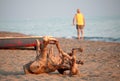 Old tree root on the beach and enderly man on the background Royalty Free Stock Photo