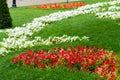 Decoration of the flowerbeds